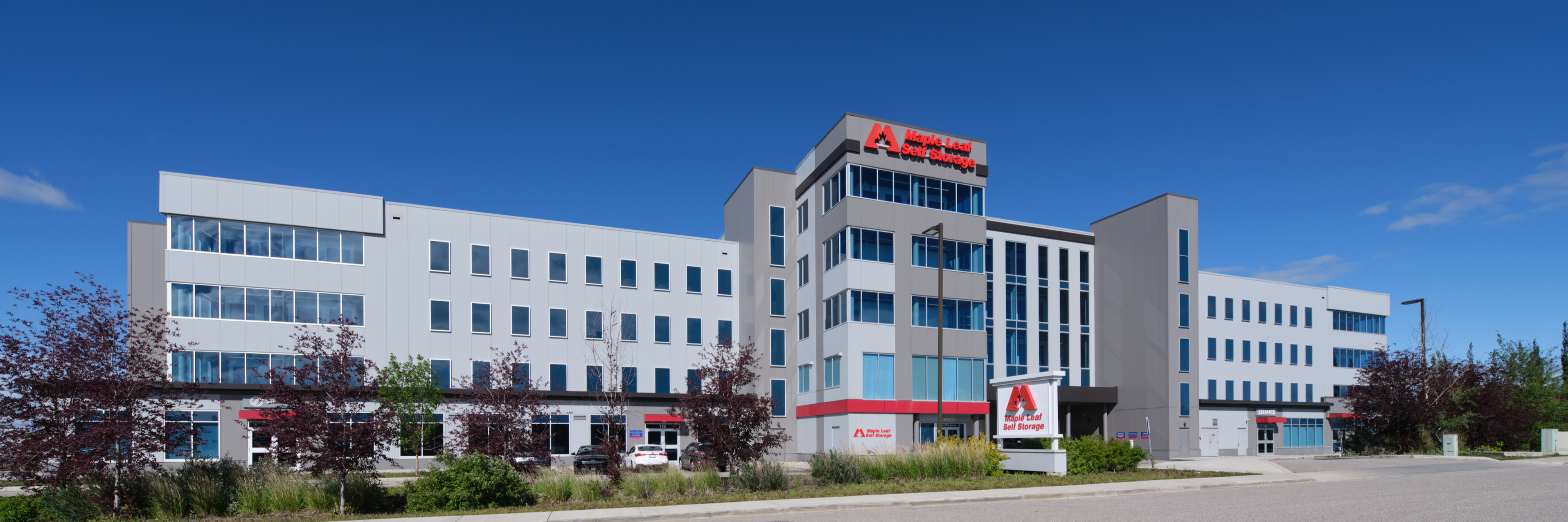 MLSS Home Page Hero Image Royal Vista